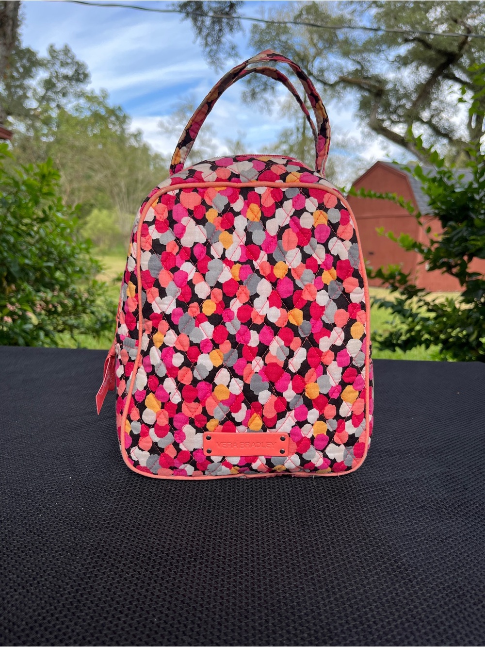 Retired Vera Bradley Quilted Lunch Brunch Bag- Pixie Confetti Pattern
